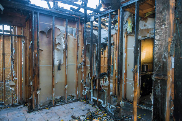 Professional Fire Damage Assessment technician working in Villas, FL